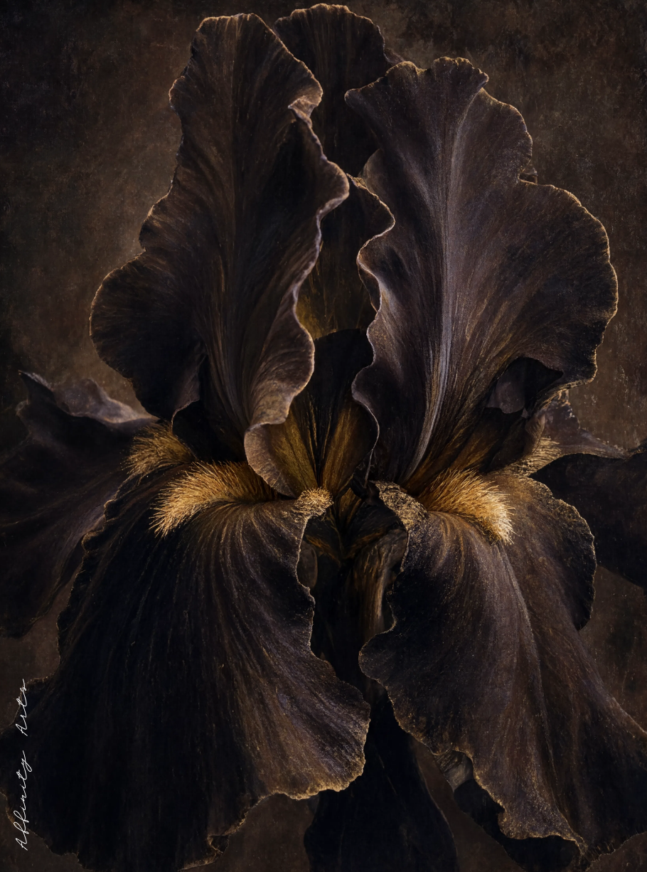 Moody dark academia floral wall art for bedroom or study decor